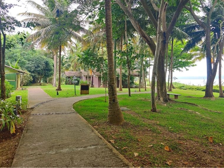 Explore the resort on a cycle along the tracks